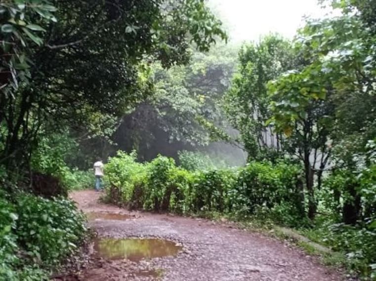 Trekking to Z Point-5